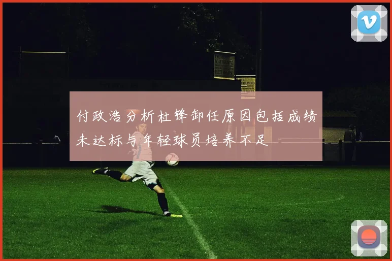 付政浩分析杜锋卸任原因包括成绩未达标与年轻球员培养不足